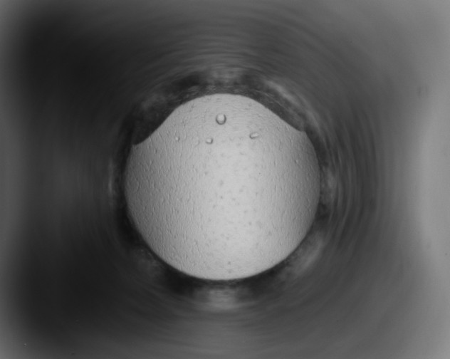 X0000087570228200705181148