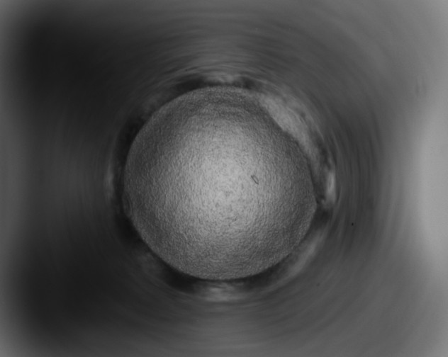 X0000087570229200705181148