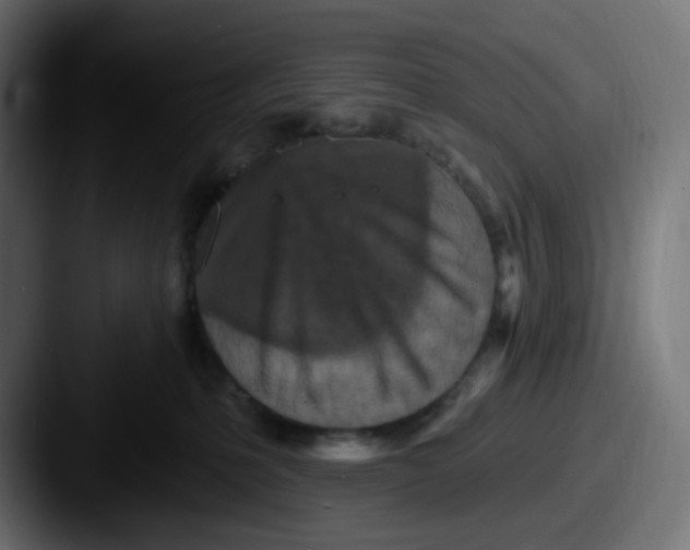 X0000087570231200705181148