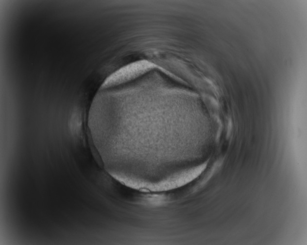 X0000087570233200705181148