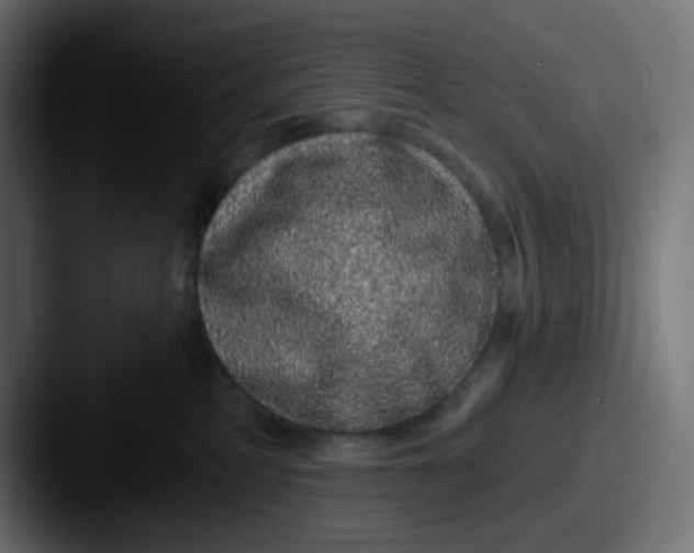 X0000087570234200705181148