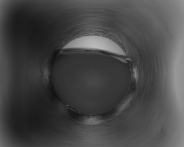 X0000087570235200705181148