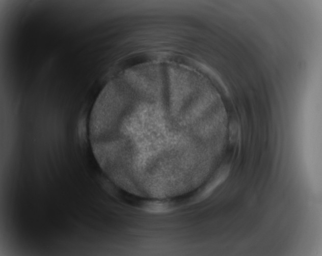 X0000087570238200705181148