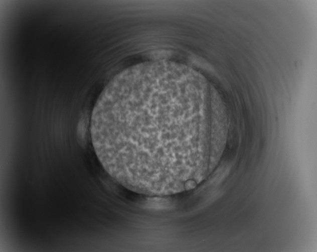 X0000087570240200705181148