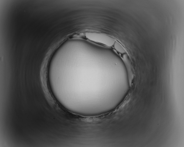 X0000087570241200705181147