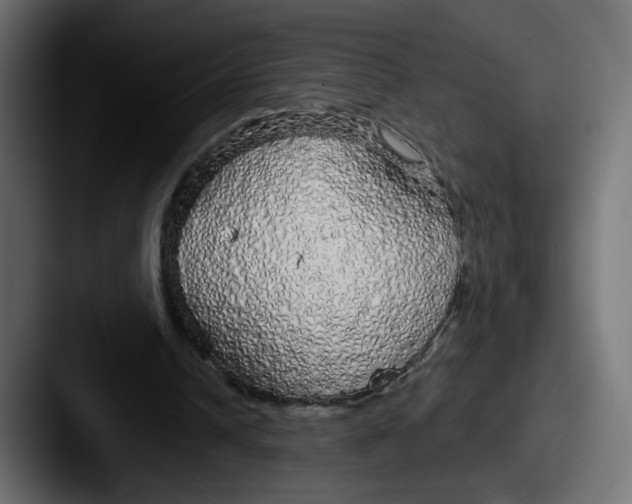 X0000087570242200705181147