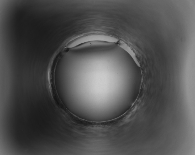 X0000087570244200705181148