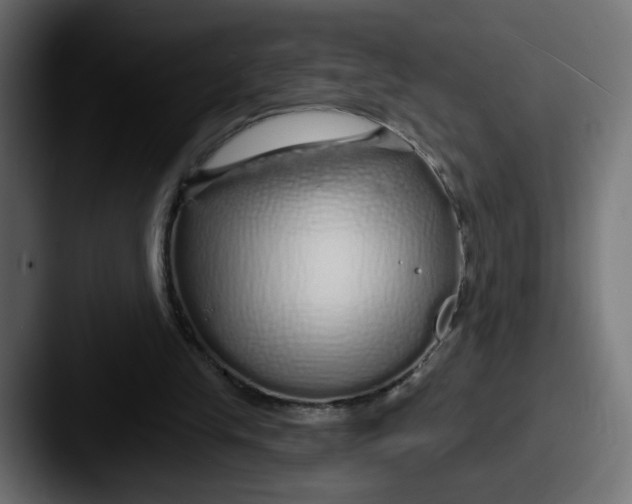 X0000087570245200705181148