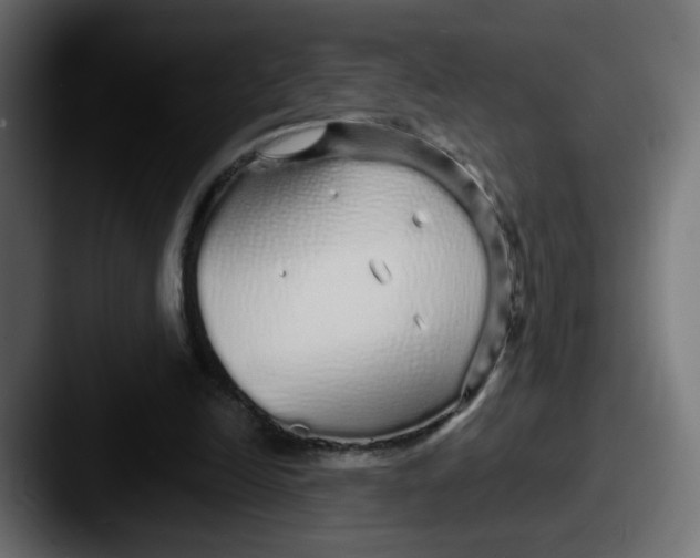 X0000087570246200705181148