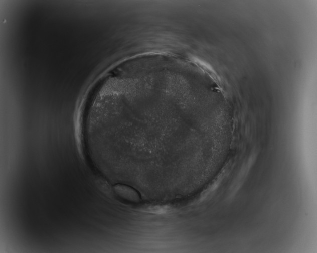 X0000087570247200705181148