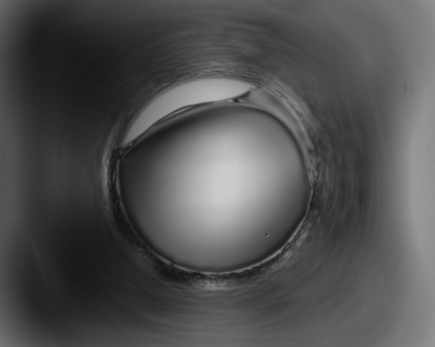 X0000087570250200705181148