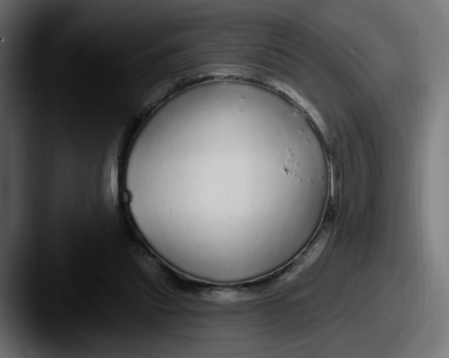 X0000087570253200705181148