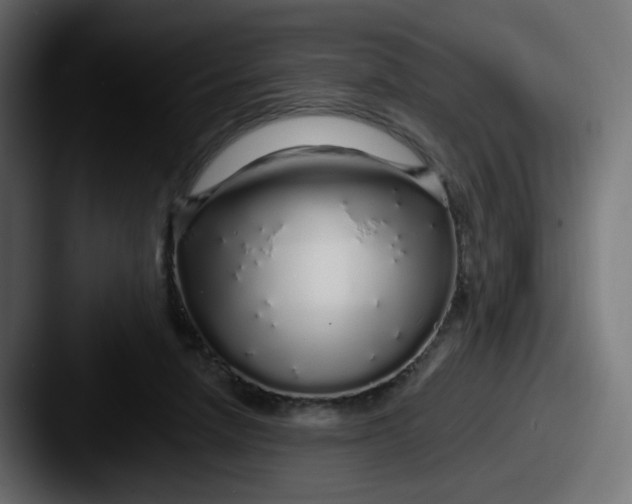 X0000087570258200705181148