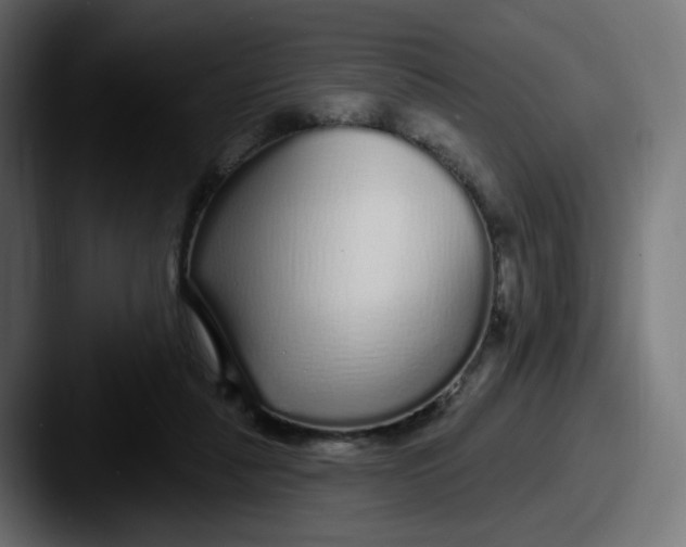 X0000087570259200705181148