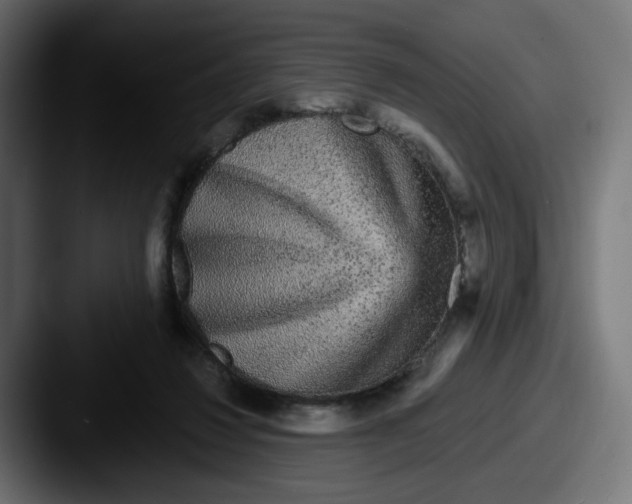 X0000087570260200705181148