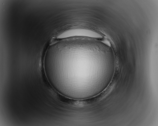 X0000087570261200705181148