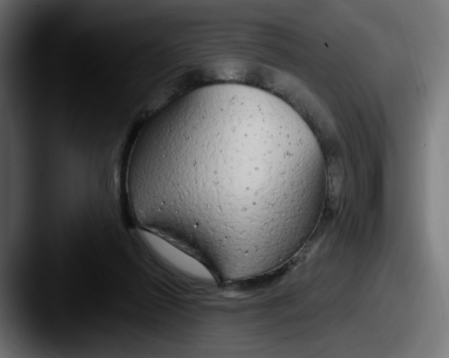 X0000087570262200705181148