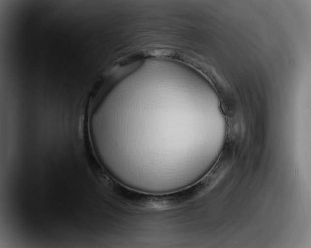 X0000087570263200705181148