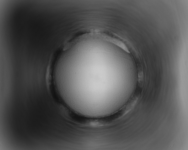 X0000087570264200705181148