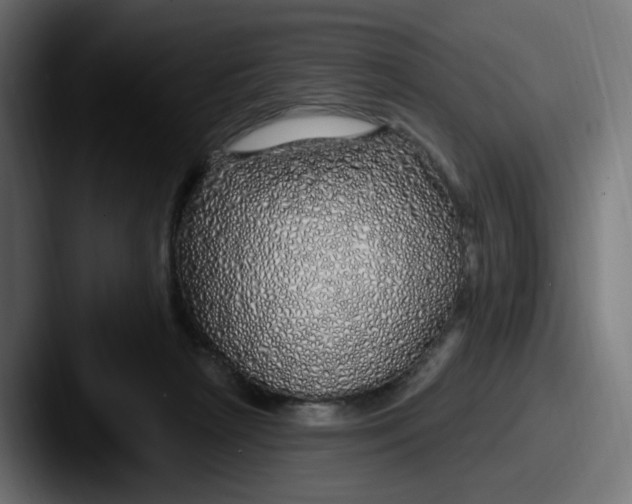 X0000087570265200705181148