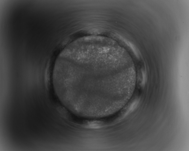 X0000087570268200705181148