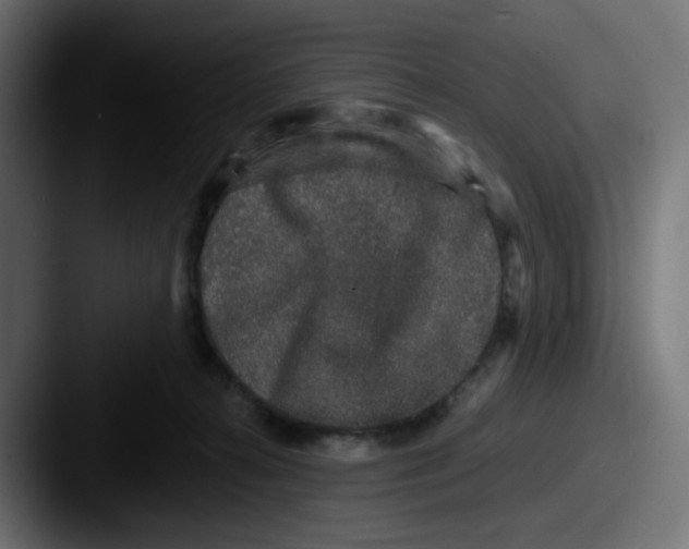 X0000087570272200705181148