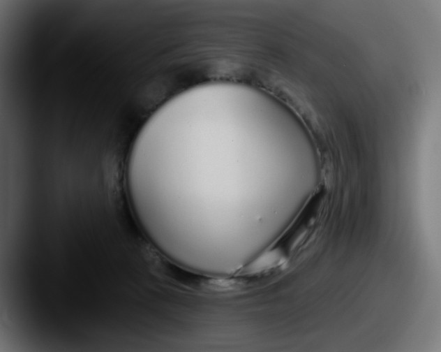 X0000087570273200705181148