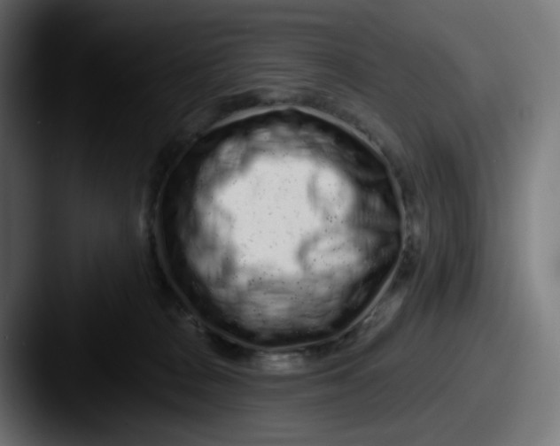 X0000087570277200705181148