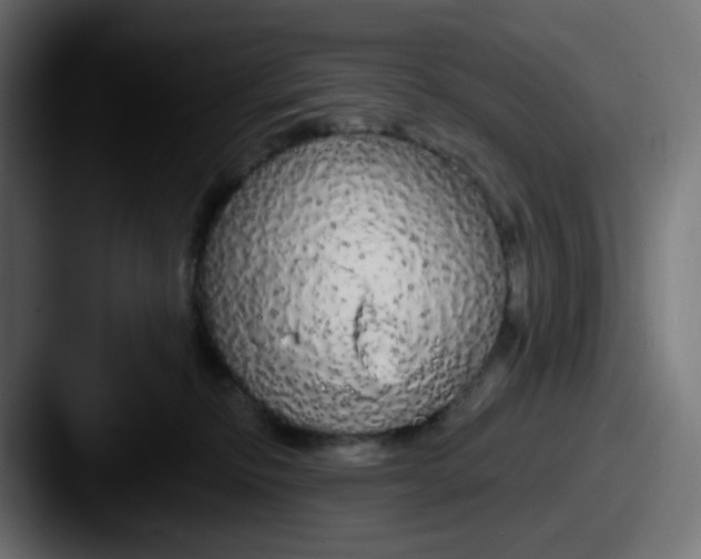 X0000087570278200705181148