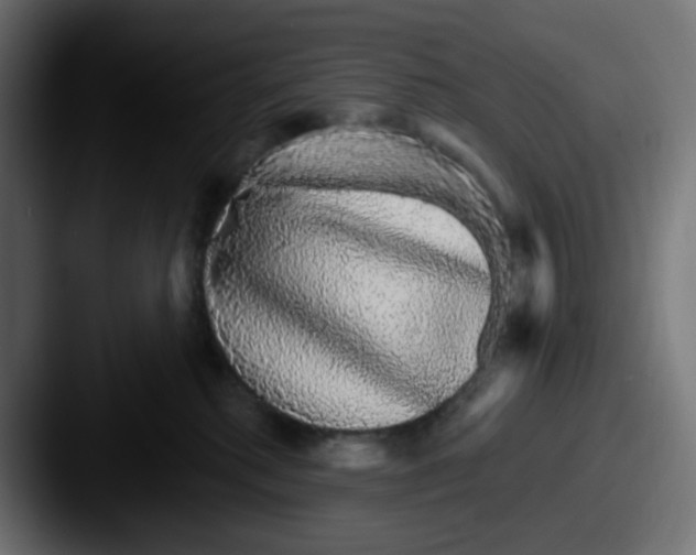 X0000087570280200705181148