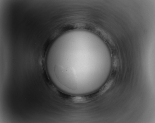 X0000087570281200705181148