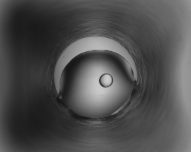 X0000087570284200705181148