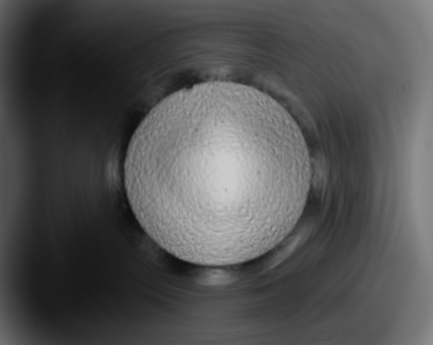 X0000087570287200705181148