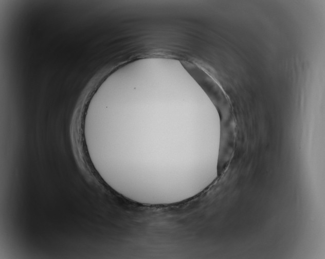 X0000087570289200705181147