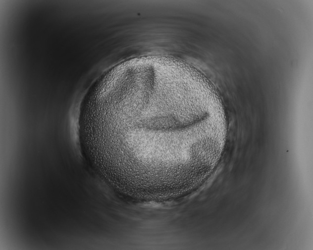 X0000087570290200705181147