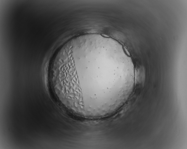 X0000087570291200705181147