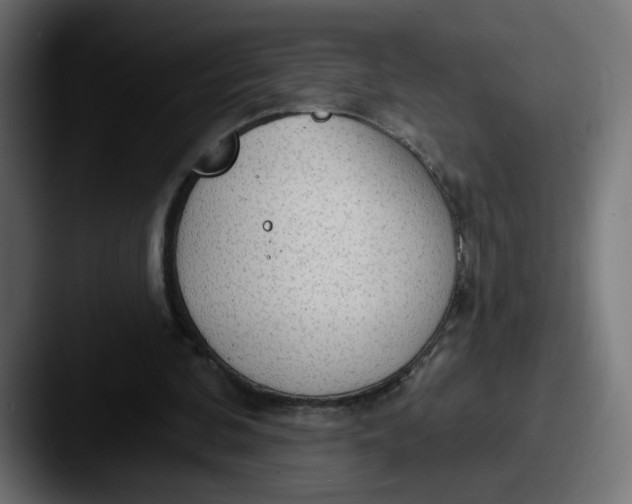 X0000087570292200705181147