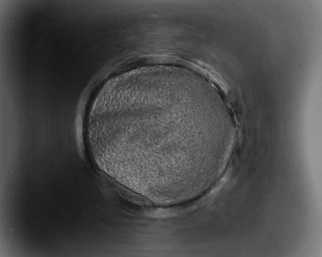 X0000087570293200705181147