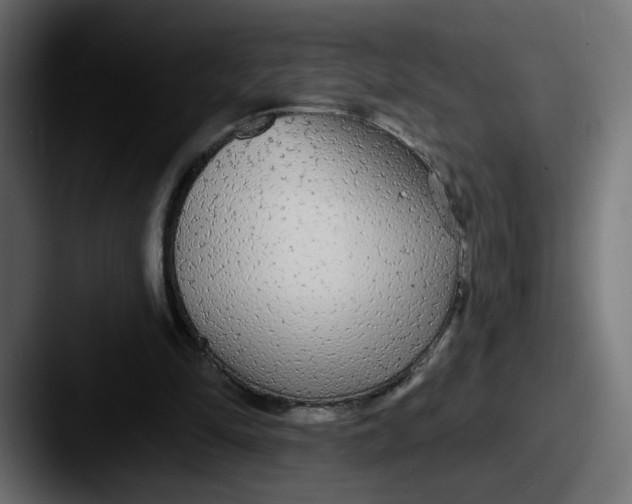 X0000087570294200705181147