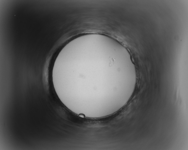 X0000087570296200705181147