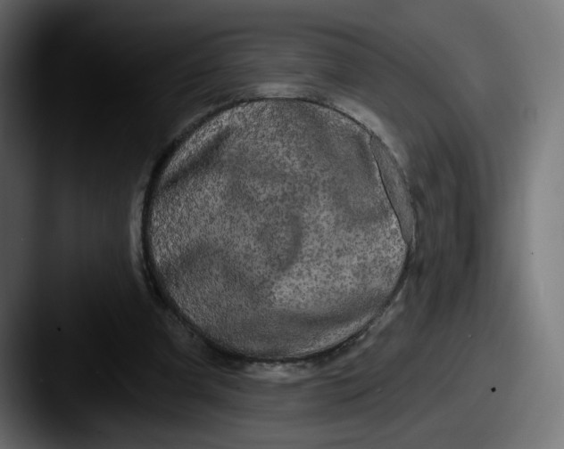 X0000087570297200705181147