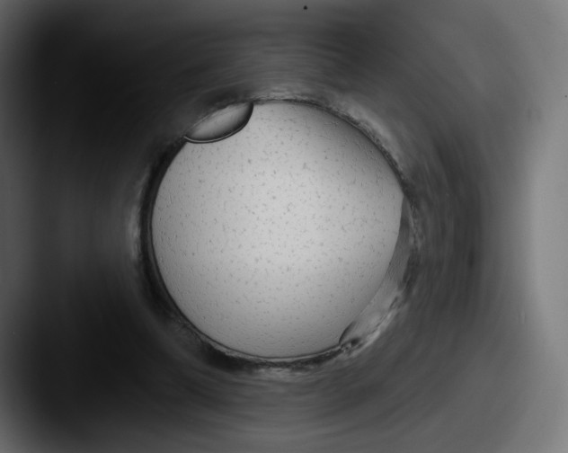 X0000087570298200705181147