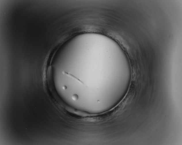 X0000087570299200705181147