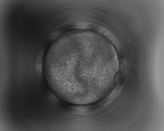 X0000087570305200705181147