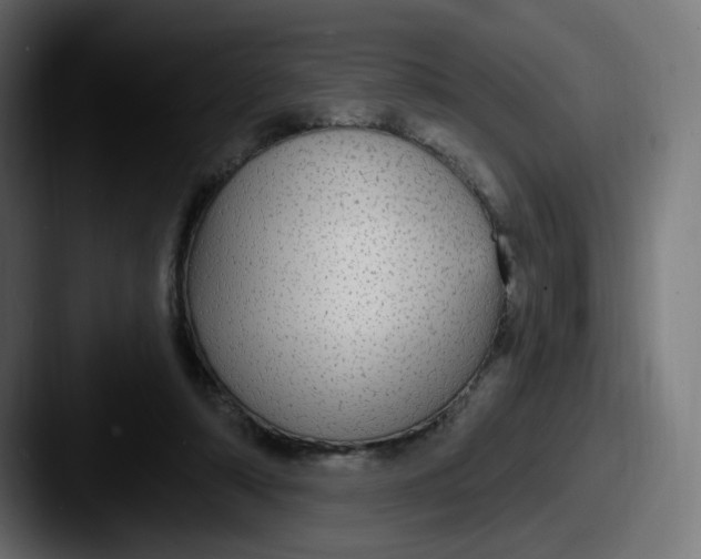 X0000087570306200705181147