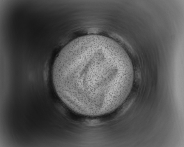 X0000087570311200705181147