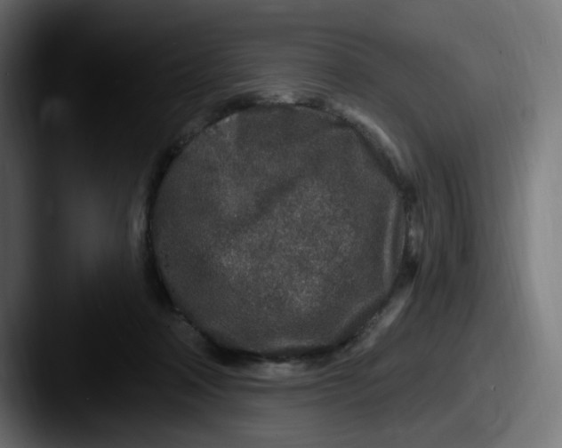 X0000087570314200705181147