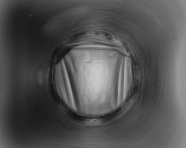 X0000087570319200705181147