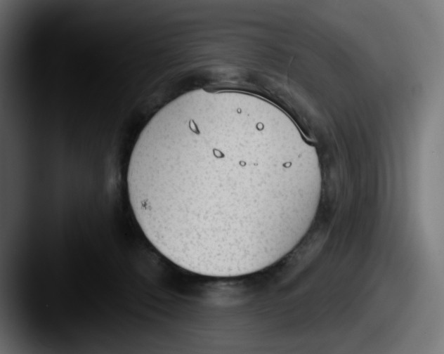 X0000087570320200705181147