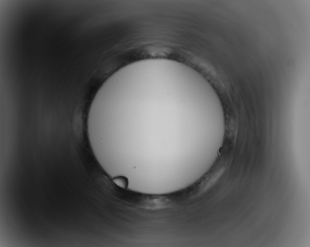 X0000087570321200705181147